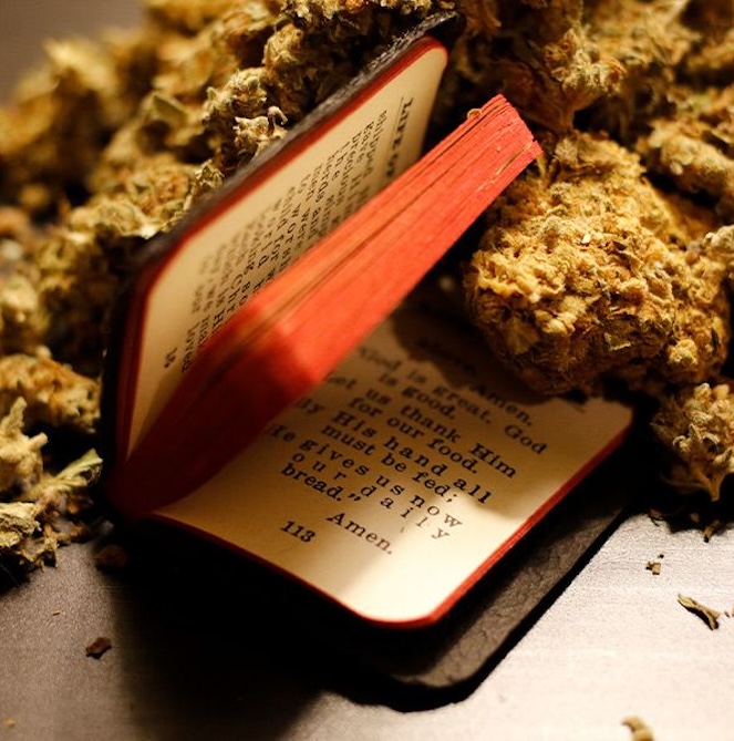 Speaking of Trees and Presents...